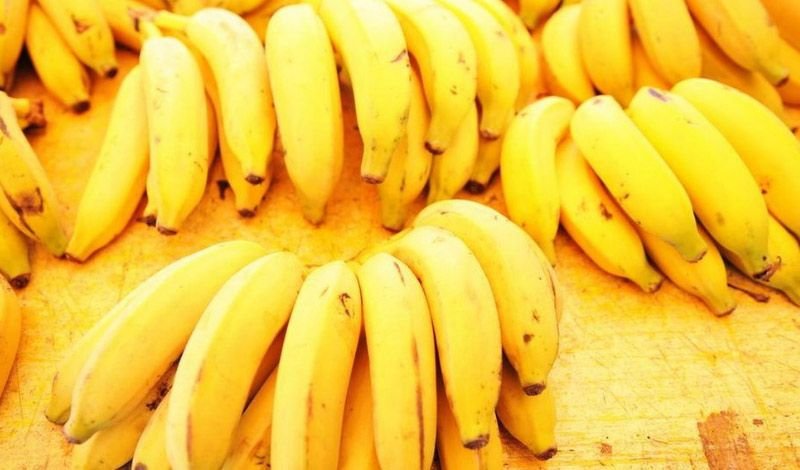 blog bananas