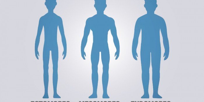 Biotipo corporal: veja qual é o seu e melhore com resultados reais!
